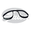 Gates Timing Belt T253