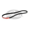 Gates Ribbed Belt 4PK825
