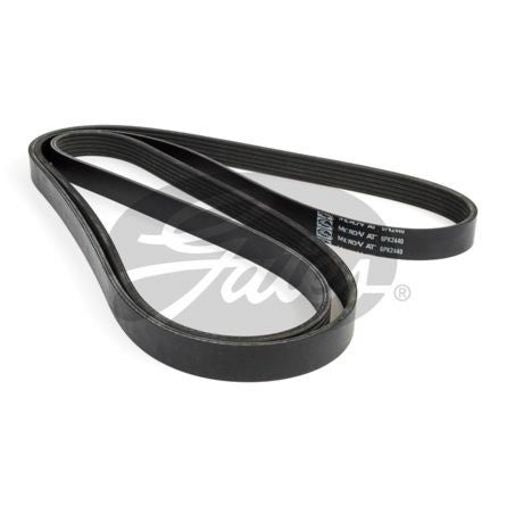 Gates Ribbed Belt 6PK2440