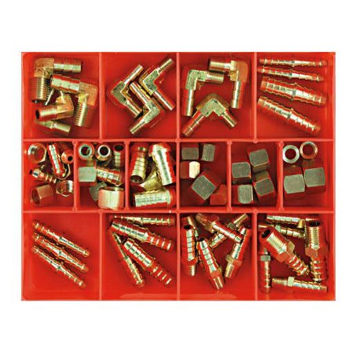Champion Fasteners Brass Petrol Fittings Assortment CA70