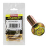 Champion Hex Flange Bolt HT 10 x 50 x 1.25mm 5Pk C495-17
