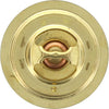 Dayco Thermostat DT81A