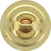Dayco Thermostat DT81A