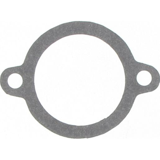 Dayco Thermostat Seal DTG14