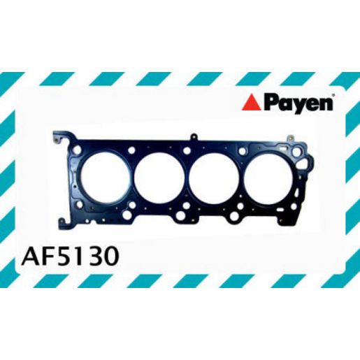 Payen Cylinder Head Gasket AF5130