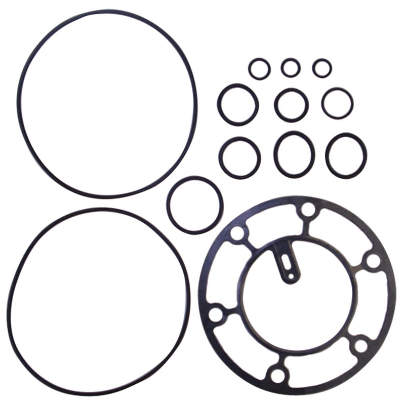 OEX Gasket To Suits Delphi V5 CPX006