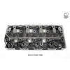 Kiwi Bare Cylinder Head 10031009