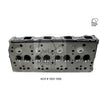 Kiwi Bare Cylinder Head 10031009