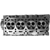 Kiwi Bare Cylinder Head 10071038