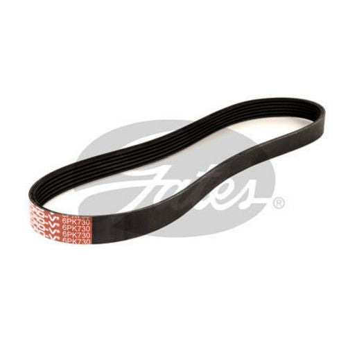 Gates Ribbed Belt 6PK730