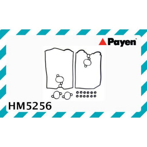 Payen Valve Cover Gasket HM5256