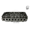 Kiwi Bare Cylinder Head 10081121