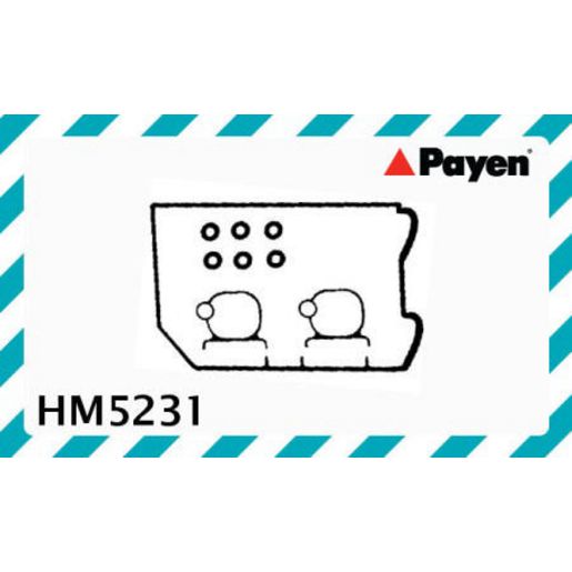 Payen Valve Cover Gasket HM5231