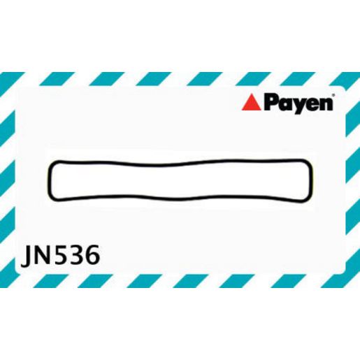 Payen Valve Cover Gasket JN536