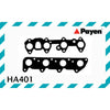 Payen Manifold Gasket Set HA401