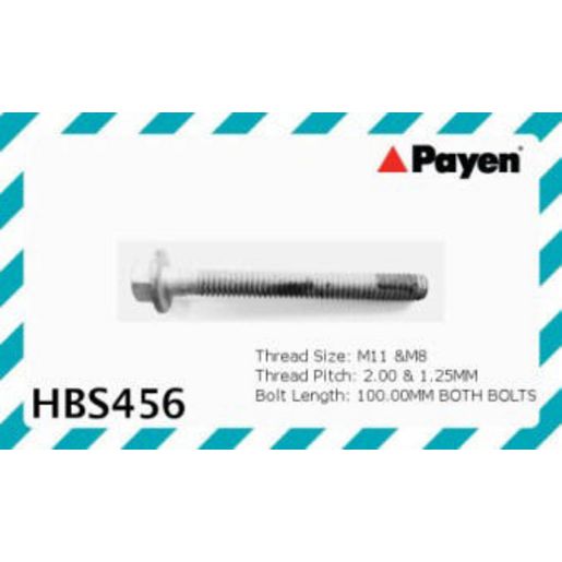 Payen Bolt Set - Cylinder Head HBS456