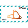 Payen Water Pump Gasket KA443