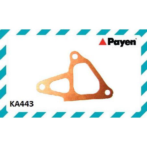 Payen Water Pump Gasket KA443