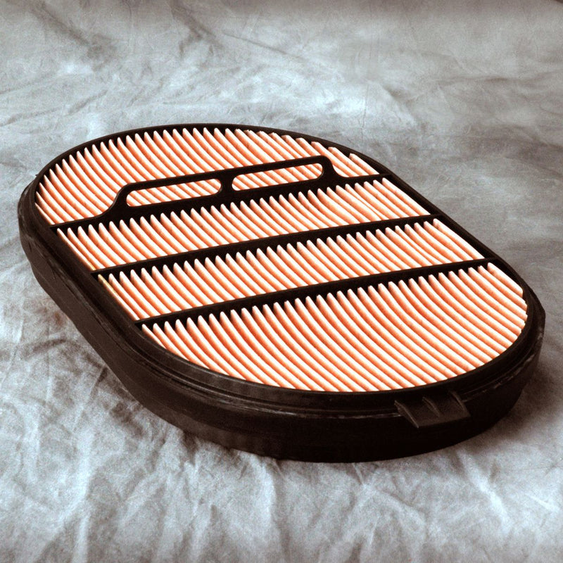 Donaldson Air Filter P607557