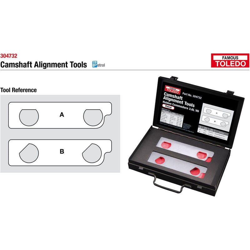 Toledo Camshaft Alignment Tools 304732