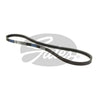 Gates Ribbed Belt 3PK842SF
