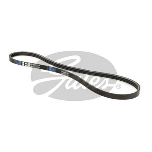 Gates Ribbed Belt 3PK842SF
