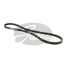 Gates Ribbed Belt 3PK842SF