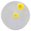 Silverline Fuel Filter DF55SL