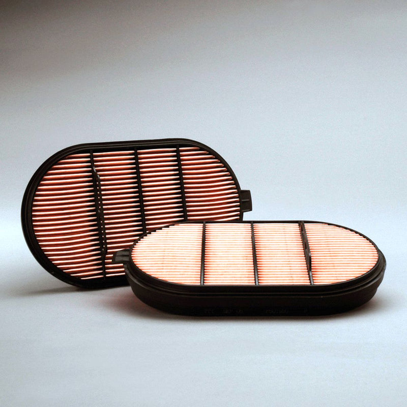 Donaldson Air Filter P601560