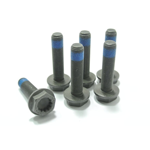 ClutchPro Flywheel Bolt Set 10x1.0x42.7 73Nm (6Pk) FWBAU06