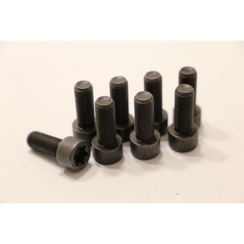ClutchPro Flywheel Bolt Set 10x1.0x25.4 73Nm (8Pk) FWBMB03