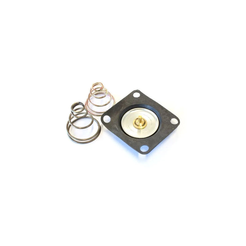 Aeroflow AF59-4000 Replacement Diaphragm with High And