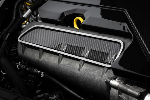 APR MS100251 Intake Manifold Cover Plate - 2.5T - Carbon