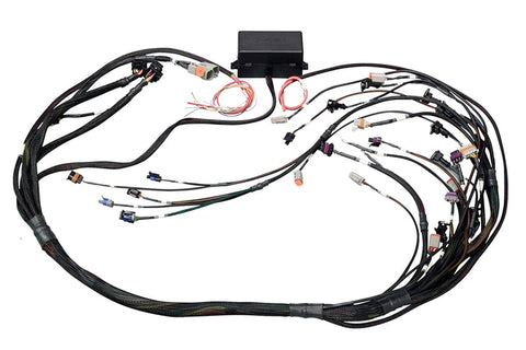 Haltech Elite 2500 Ford Falcon BA/BF Barra 4.0 Terminated