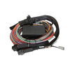 Haltech Elite 1500 + Premium Universal Wire-in Harness