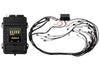 Haltech Elite 2500 + GM GEN IV LSx (LS2/LS3 etc) non DBW