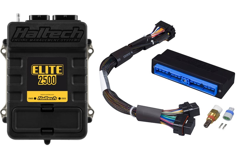 Haltech Elite 2500 + Nissan Patrol Y60 & Y61 (TB45) Plug