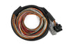 Haltech Nexus IO16 Universal Wire in harness 2.6m (8.5