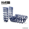 H&R Sport Springs fits BMW 320i/320i/340i/428i/435i