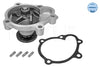Meyle Water Pump 613 600 4115