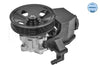 Meyle Hydraulic Pump P/S 014 631 0031