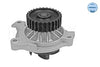 Meyle Water Pump 113 012 0022