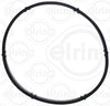 Elring Gasket 655.79