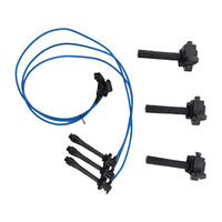 Ignition Coil & Top Gun Lead Kit Fit For Toyota Avalon MCX10R Camry MCV20R MCV36R Vienta MCV20R 1MZ-FE 3.0L