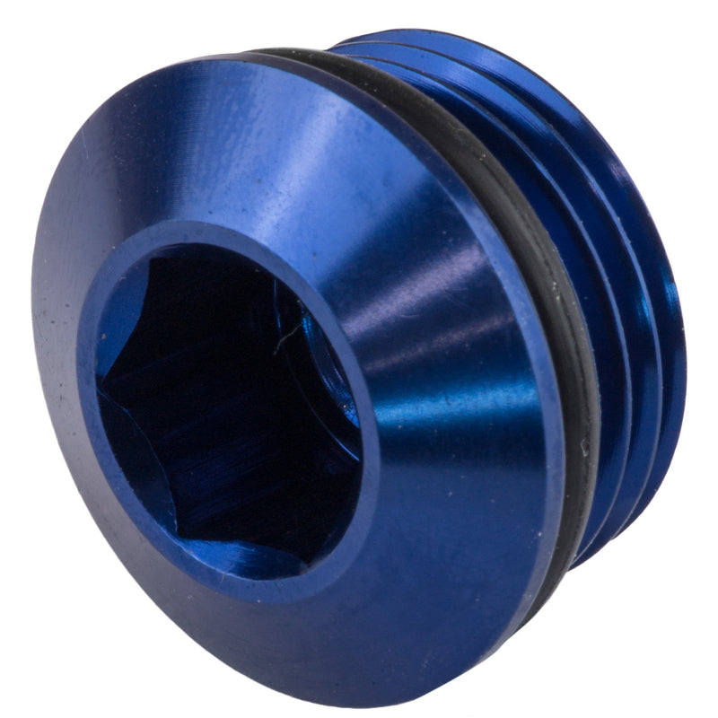 Proflow Port Plug # 6 An PFE814-06