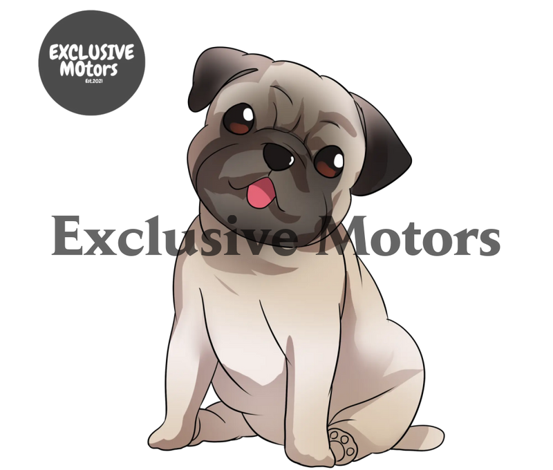 PUG (COCONUT SCENT)