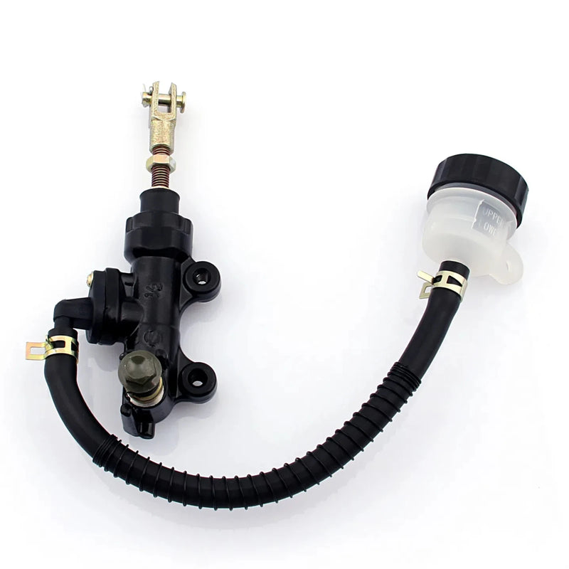 Powersports Pro Cylinder & Piston