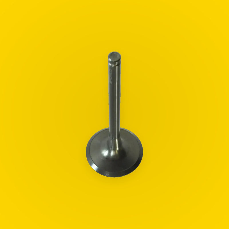 Bronco Engine Exhaust Valve for Suzuki Quadracer LT-R450 (2006–2009)