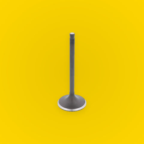 Bronco Engine Intake Valve for Suzuki QuadSport 250 Z250 (2004–2009)