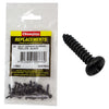 Champion Black Screw Self Tapp Panhead Phillips 4.2 x